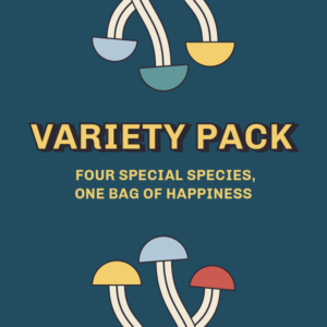 Dried Mushroom Variety Pack 28g